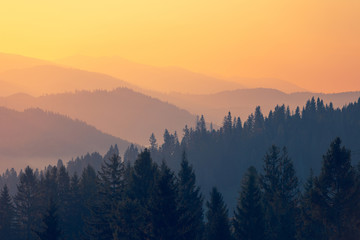 北京现有高中风险区728个,北京已有11个中高风险地区 全国多地发出紧急通知